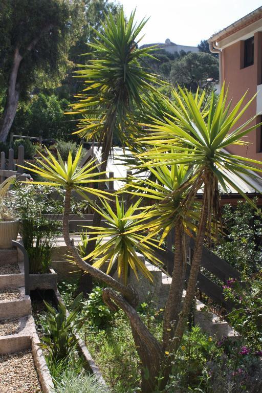 Hotel Residence Les Medes Porquerolles Esterno foto
